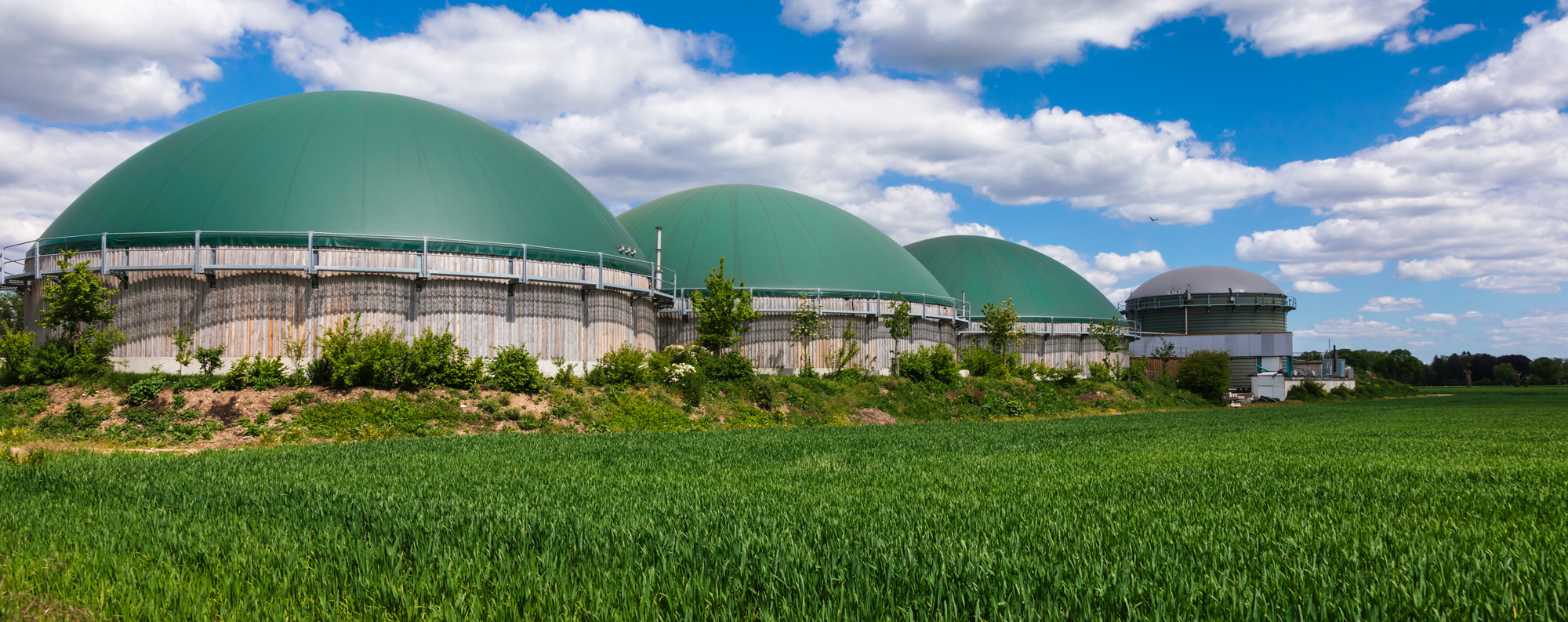 5.2-biofuels-infrastructure Biofuels