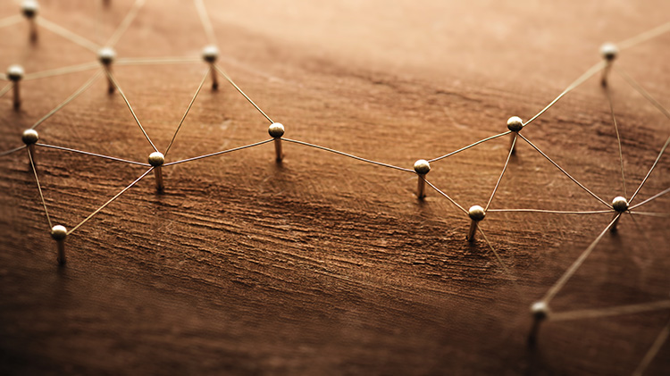 case-study-2 pins in wood