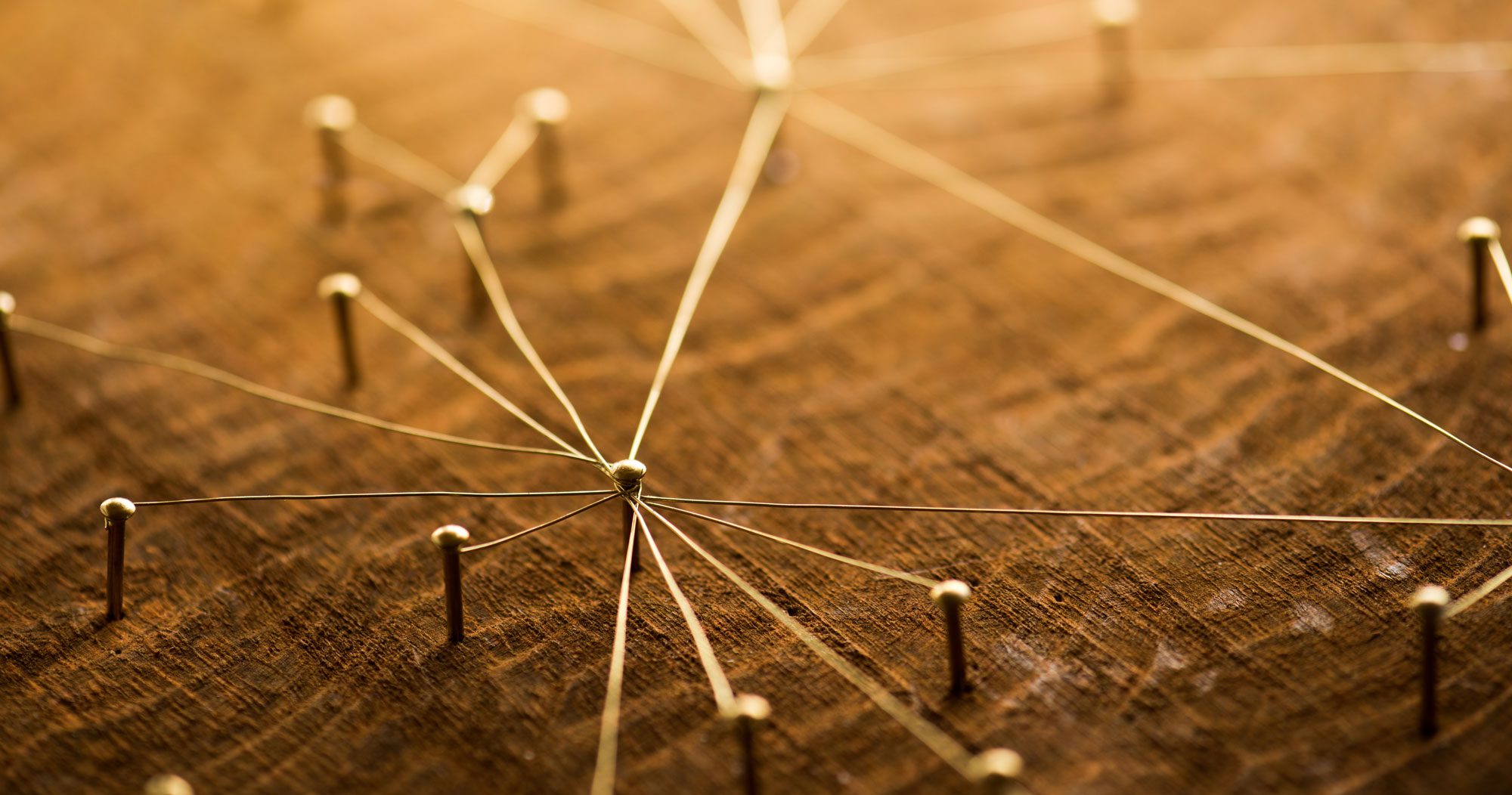 Our-services-header-image strings