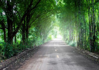 Identifying infrastructure investment options in a changing market environment