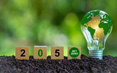 COP 27 and the Carbon “Race to Dubai”