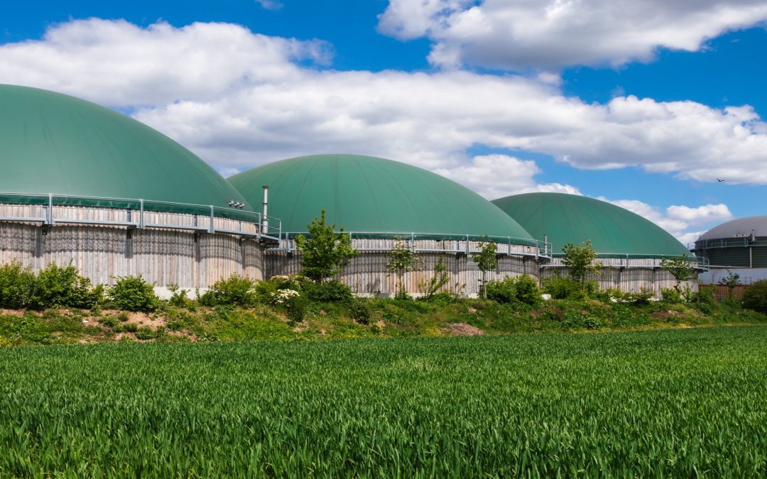 Nature Energy – The First of Many or One of One?