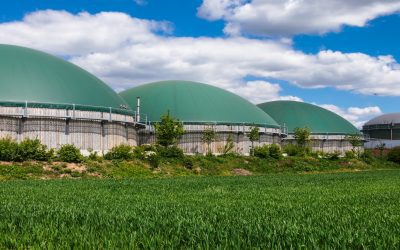 Nature Energy – The First of Many or One of One?