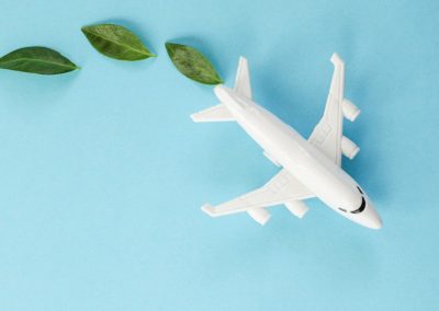 Developing commercial viability of a HVO and SAF production project