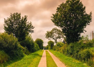 Developing a strategy for a commercially viable biogas operation