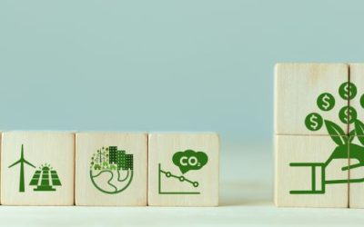 Low-carbon fuels: New trading models and strategies for commodity traders